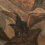 Gaston SUISSE (1896-1988) - Aigles bateleurs. Vers 1928. (Panneaux)